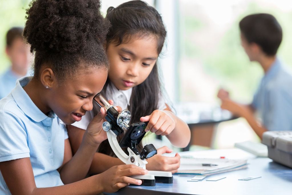 STEM Campaign